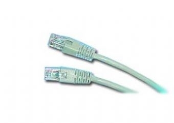 Cable CAT5E UTP moldeado 1m Negro